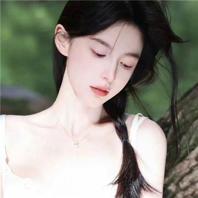 真假维梅尔